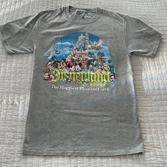Disney Tops - DISNEYLAND CHARACTER Tshirt, Grey, adult Small